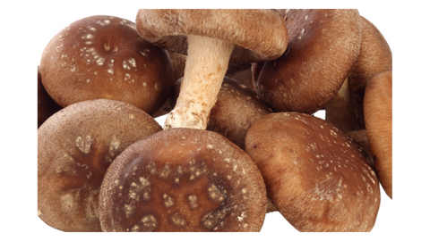 Shiitake