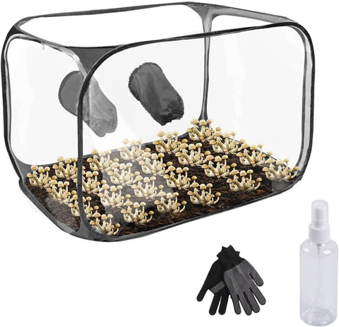 Pop-Up-Zelt