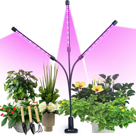 LED