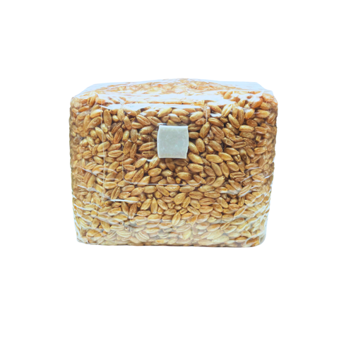 Körnerbrutgrundlage 